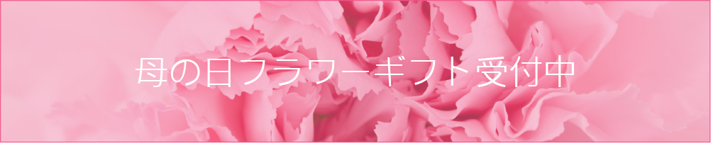 ��̓��M�t�g��t��